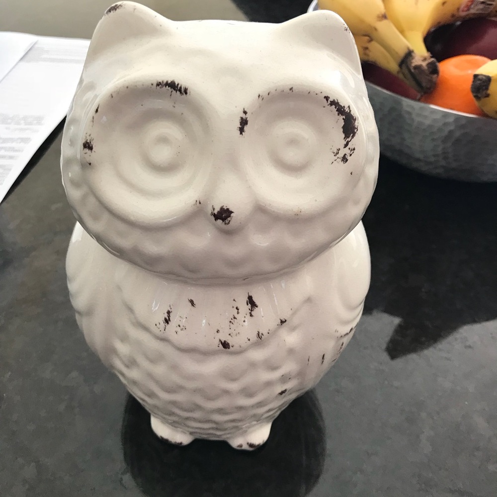 Decorative ceramic owl